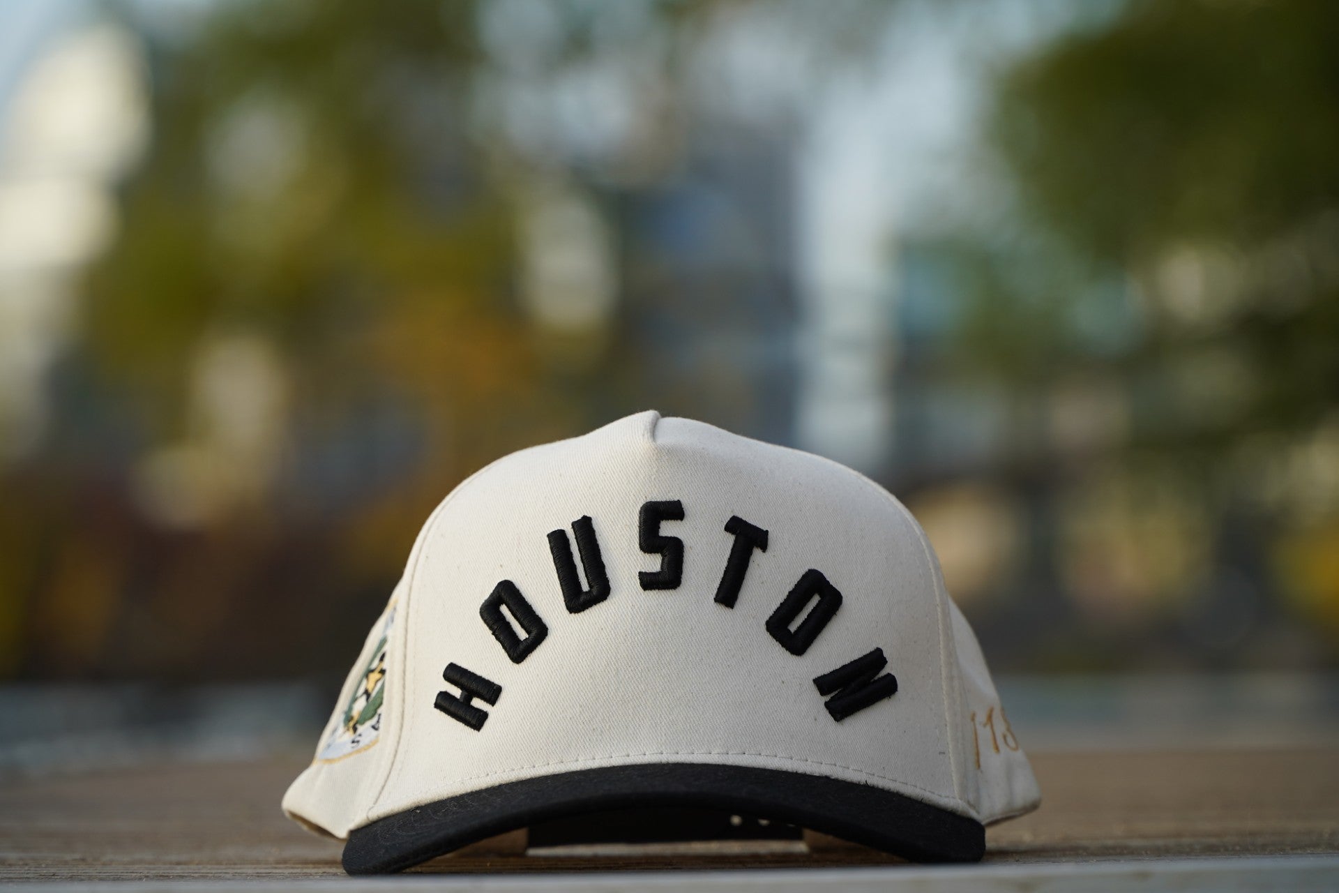 HOUSTON LSE CAP